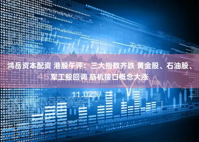 鸿岳资本配资 港股午评：三大指数齐跌 黄金股、石油股、军工股回调 脑机接口概念大涨