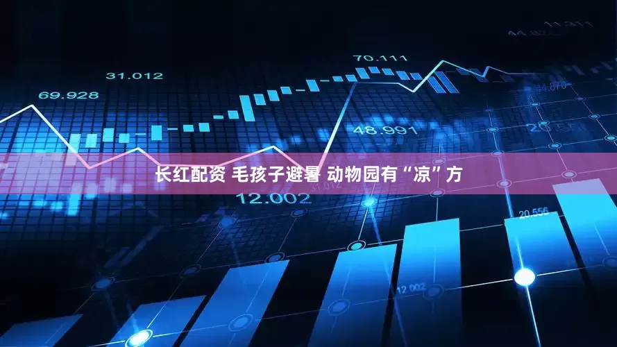 长红配资 毛孩子避暑 动物园有“凉”方