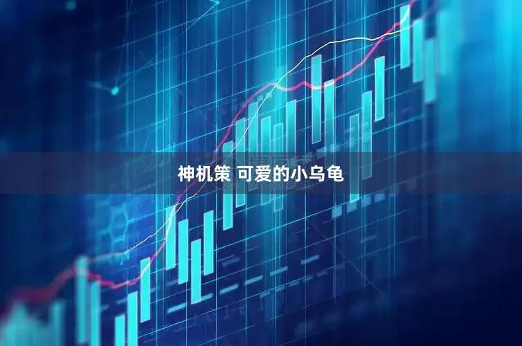 神机策 可爱的小乌龟