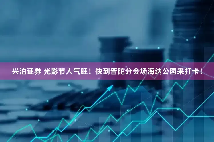 兴泊证券 光影节人气旺！快到普陀分会场海纳公园来打卡！