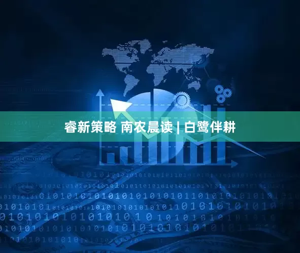 睿新策略 南农晨读 | 白鹭伴耕