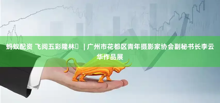 蚂蚁配资 飞阅五彩隆林⑭ | 广州市花都区青年摄影家协会副秘书长李云华作品展